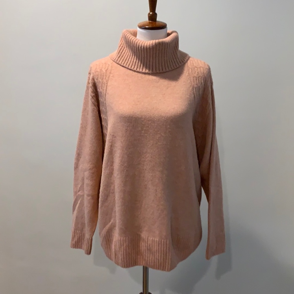 TopShop Women's Coral Cowl/Turtleneck Sweater